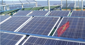 Solar power firms see revenue surge in H1
