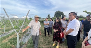 Khanh Hoa connects Ninh Thuan to attract tourists