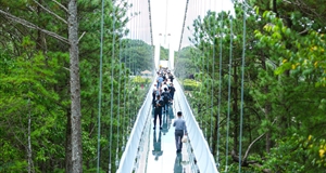 Dalat: Transforming from the Road of Memories