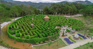 Thanh Thanh Cong Lam Dong Tourism Joint Stock Company: bring out a new look for the City of a Thousand Flowers.