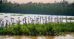 Recognition of 10 Typical Mekong Delta Tourist Destinations in 2023