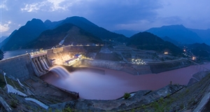 Prioritizing renewable energy sources in power generation