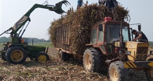 Encouragement to the sugarcane growers to accompany the enterprise continuously