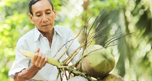 Cocoxim - An innovative journey to enhance the coconut Ben Tre